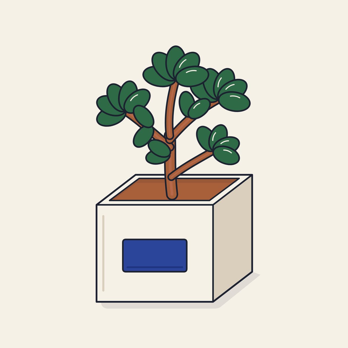Drawing of a jade plant in a desk planter