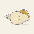 Drawing of a conch-shaped shankh candle
